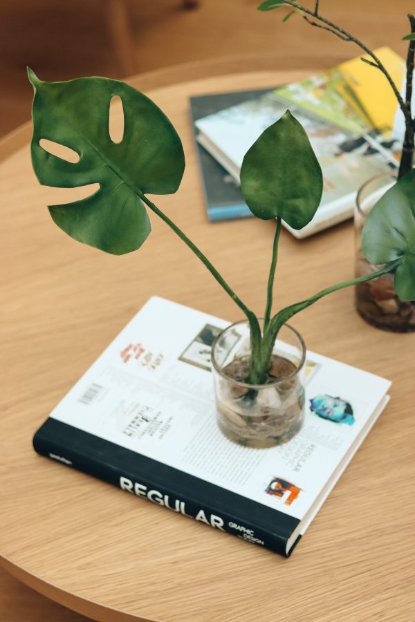 Plantepakke - Bilde 3