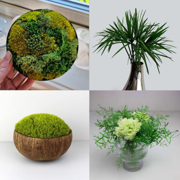 Go green starter-kit